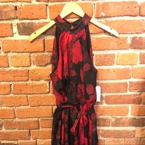 NWT “Alexa B” Rose Floor Length Dress